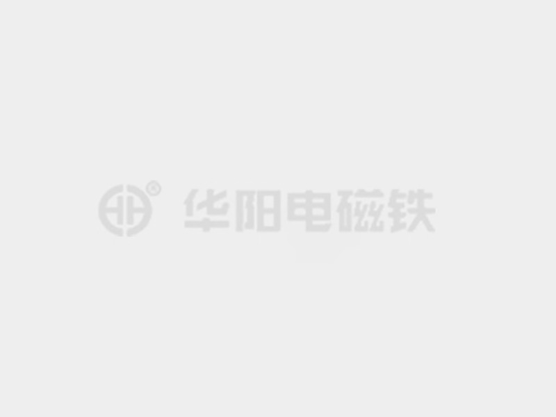 男女插骚网站在线观看防爆电磁铁的储存和维护较佳实践！